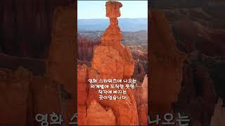 미국 4대 Canyon 중 가장 기억에 남는 곳