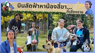 (FULL )บินลัดฟ้าหาน้องสี่ขา...ที่เชียงราย | Pet Lover by Jerhigh Ep.7