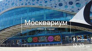 Москвариум