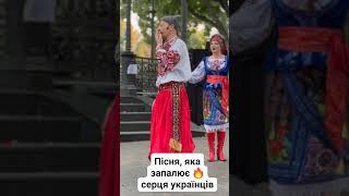 Неповторний Український колоріт! Смерека