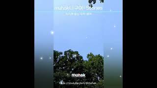 숲 이야기1, e5-05-30-b1