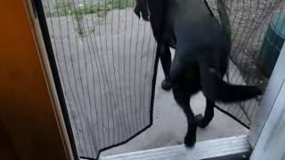 Magnetic Screen Door