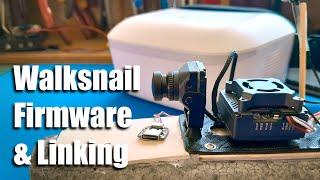 WalkSnail Goggles L linking and VTX firmware upgrade