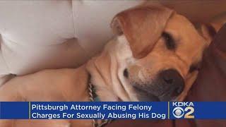 Police: Pittsburgh Lawyer Sexually Abused Dog Multiple Times