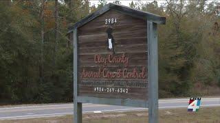 Years in the making: Clay County’s new animal shelter to break ground in 2025