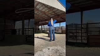 Will you heel for me? #teamroper #countrygirl #cowgirl #ranchlife