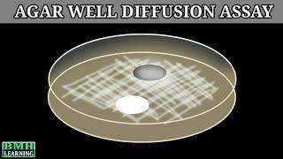 Agar Well Diffusion Assay | Determination Of MIC By Agar Diffusion Method |