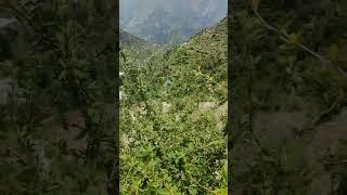 gajab ka view v#chamba #himachalpradesh #manish #trendingvideo #newvideo #vlog #viral #live