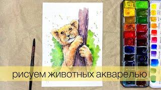 Рисуем львенка акварелью  lion painting in Watercolor