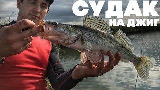 ВОТ ЭТО РЫБАЛКА!!! ЛОВЛЯ СУДАКА. СУДАК ОСЕНЬЮ НА ДЖИГ. Kamfish