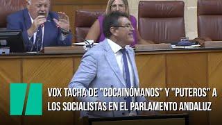 Vox tacha de "cocainómanos" y "puteros" a los socialistas en el Parlamento andaluz