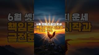 [골목점집 운세]  닭띠 주간운세｜예상 밖 기회, 준비되셨나요? #운세채널  #띠별운세  #오늘의운세  #월간운세  #주간운세  #타로운세  #사주풀이  #소원성취  #재물운