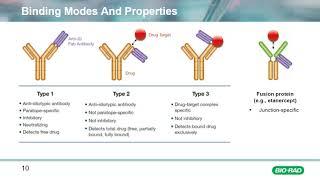 Transform Your Bioanalytical Assay Development with TrailBlazer Antibodies