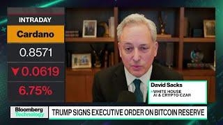 David Sacks on Bitcoin Reserve, Auditing Crypto, AI