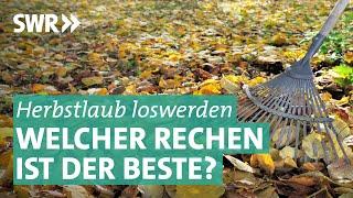 Laubrechen – welcher funktioniert am besten? | Marktcheck SWR