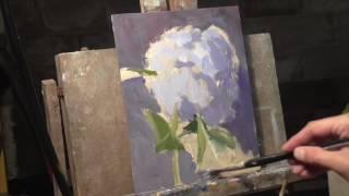 Hydrangea Sketch Demo REAL TIME with chatting up the process i'm doing