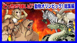 【どっちが強い総集編】動物たちの熱き戦い!格闘技!陸上!水泳!野球!もしも動物だけでオリンピックを開催したらどうなる!?【漫画】【オリンピック】