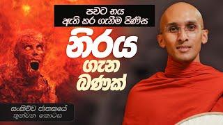 312. නිරය ගැන බණක් | සංකිච්ච ජාතකය | 2024-04-08