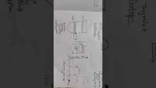 Okazaki's pulse chase experiment and Bidirectional replication 