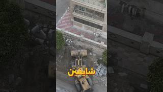 نهاية شجرة البونسياناا !!