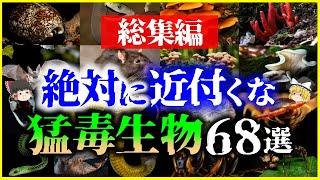 【ゆっくり解説】【総集編】絶対に近づくな！ヤバい猛毒生物68選を解説/キノコ、ヘビ、食べ物、意外な生物他【作業用】【睡眠用】