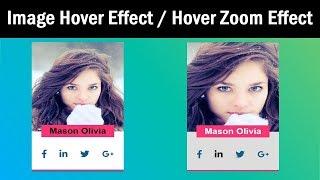 CSS Image Hover Effects | Image Hover Zoom Effect CSS | CSS Scale | csPoint