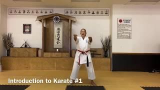 Introduction to Karate #1