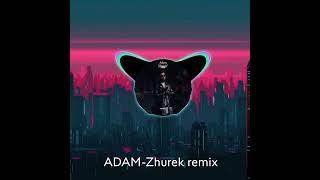 ADAM-Zhurek remix