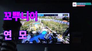 꼬뿌니이 -연모.촬영-꼬뿌니이,b.h 골키퍼 TV,Music,(Kpop&Trot),010-2628-7859