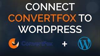 How To Connect ConvertFox to WordPress