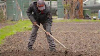 Jardin - Les jardins familiaux