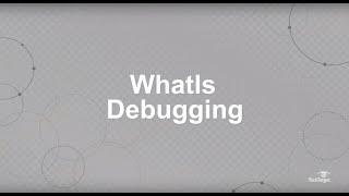 What is Debugging? Why Debugging is Important