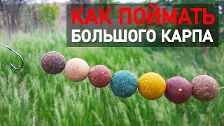 Как поймать большого карпа и отсечь мелкую рыбу. Тактика ловли трофейного карпа