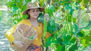 Cooking Sponge Gourd Recipe - Pick Sponge Gourd For Cooking - Cooking With Sros