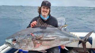 Catching 100kg Bluefin Tuna!