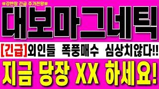 [대보마그네틱 주가 전망] 외국인들 폭풍매수 심상치 않다!!글로벌 시장 점유율 70%독점 2차전지 핵심장비 강력추천 당장00해야하는이유!