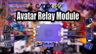Caddx Avatar Walksnail Repeater Review - Does It Work And Who Is This For?