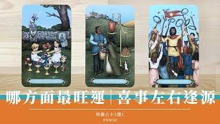三選一｜入夏運勢如何？把握旺運時刻｜財運亨通左右逢源｜無時間限制 Timeless｜塔羅占卜