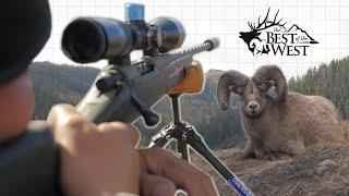 ROCKY MOUNTAIN BIGHORN HUNT (300 PRC)