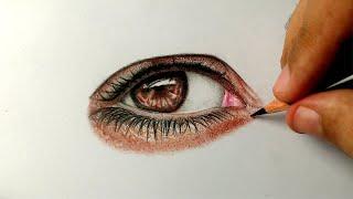  Drawing Light Brown Eyes - Lino do lago