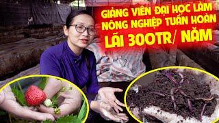 CÔ GIẢNG VIÊN TRẺ VỚI KHÁT VỌNG LÀM GIÀU TỪ NGHỀ NUÔI GIUN TRÊN MẢNH ĐẤT THÁI NGUYÊN