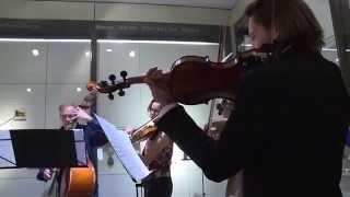 "Site Specific Music"  Grand Curtius Museum by Orchestra ViVo ! ( dir. Garrett List) - Long version