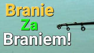 Ryby nie Dały mi Odpocząć! Branie za Braniem! Brały na Method Feeder! Wędkarstwo Feederowe!
