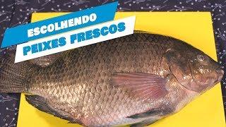 Aprenda a escolher peixe fresco