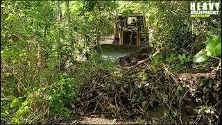 Excellent work Caterpillar D6R XL bulldozer operator working to clear plantation roads