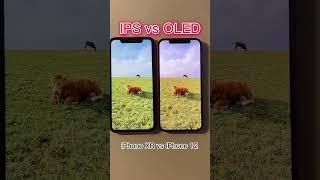 iPhone IPS LCD vs OLED