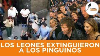 LA ARGENTINA SE LLENÓ DE LEONES Y DESAPARECIERON LOS PINGUINOS