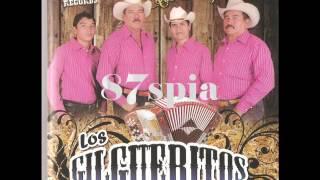 Los Gilgueritos   Ausencia Eterna