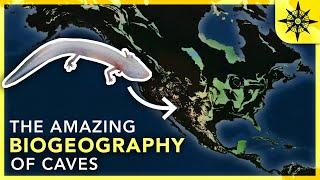 The Amazing Biogeography of Caves