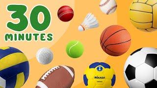 30 Minutes LEARN SPORT BALLS in English for BEGINNERS